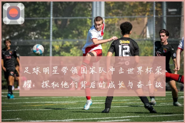 足球明星带领国家队冲击世界杯荣耀，探秘他们背后的成长与奋斗故事