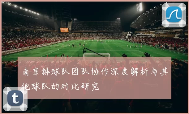 南京排球队团队协作深度解析与其他球队的对比研究