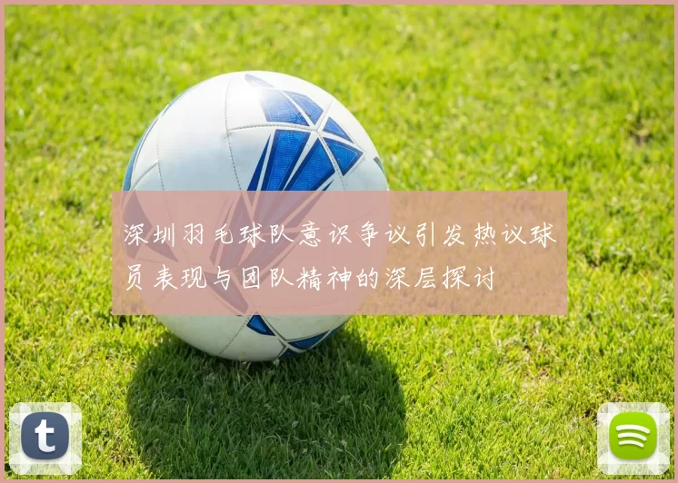 深圳羽毛球队意识争议引发热议球员表现与团队精神的深层探讨