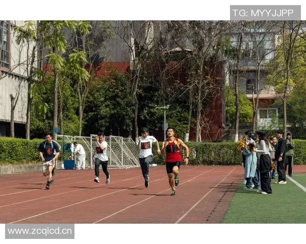 以体育精神为核心探讨竞技场上团队协作与个人奋斗的完美结合