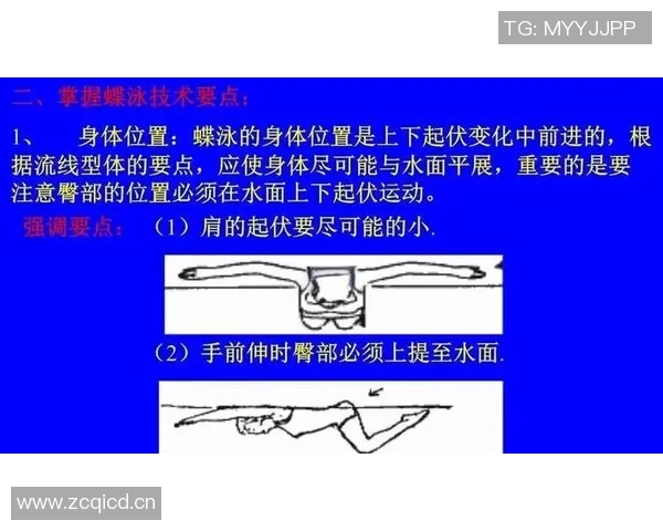 蝶泳动作解析与技巧提升方法：从基础到高级训练全攻略
